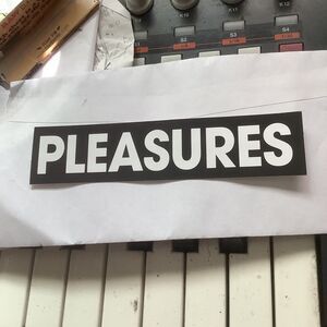 Pleasures Now Box Logo Sticker Graphic Black and White